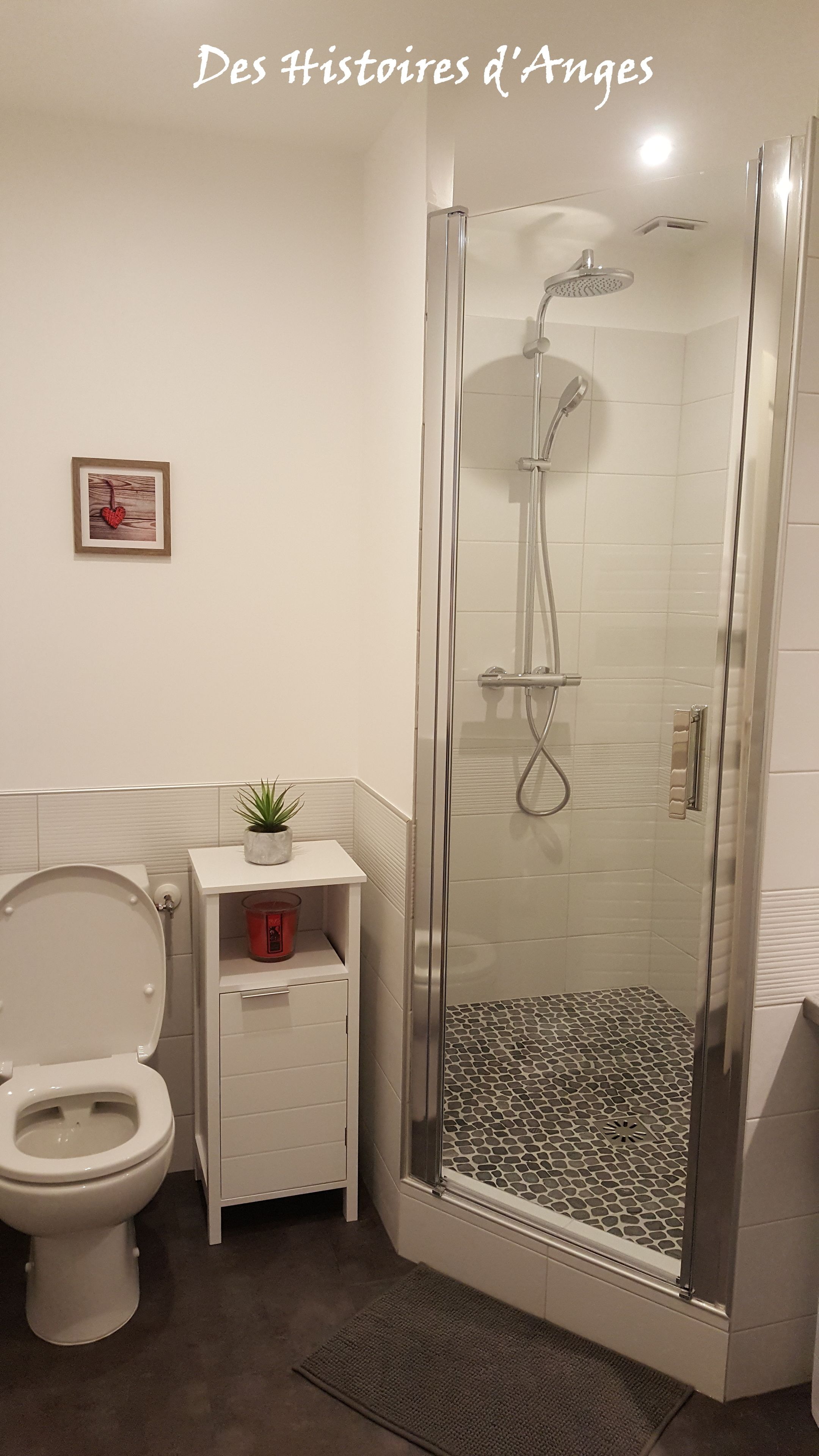 Un baño moderno con ducha de vidrio, inodoro y una pequeña repisa con una planta.