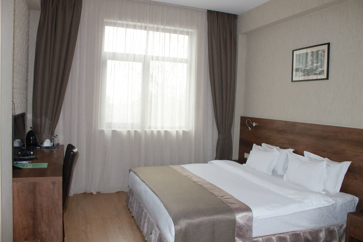 Double Room (Small) | Minibar, in-room safe, desk, iron/ironing board