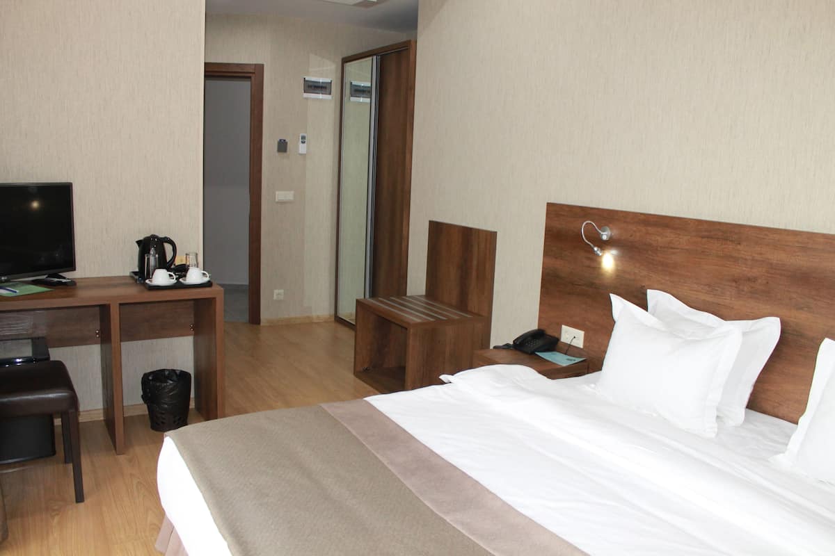 Standard Double Room | Minibar, in-room safe, desk, iron/ironing board