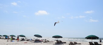 Beachview 309 - Evadez-vous pour l'été dans les eaux chaudes et ensoleillées de Gulf Shores!