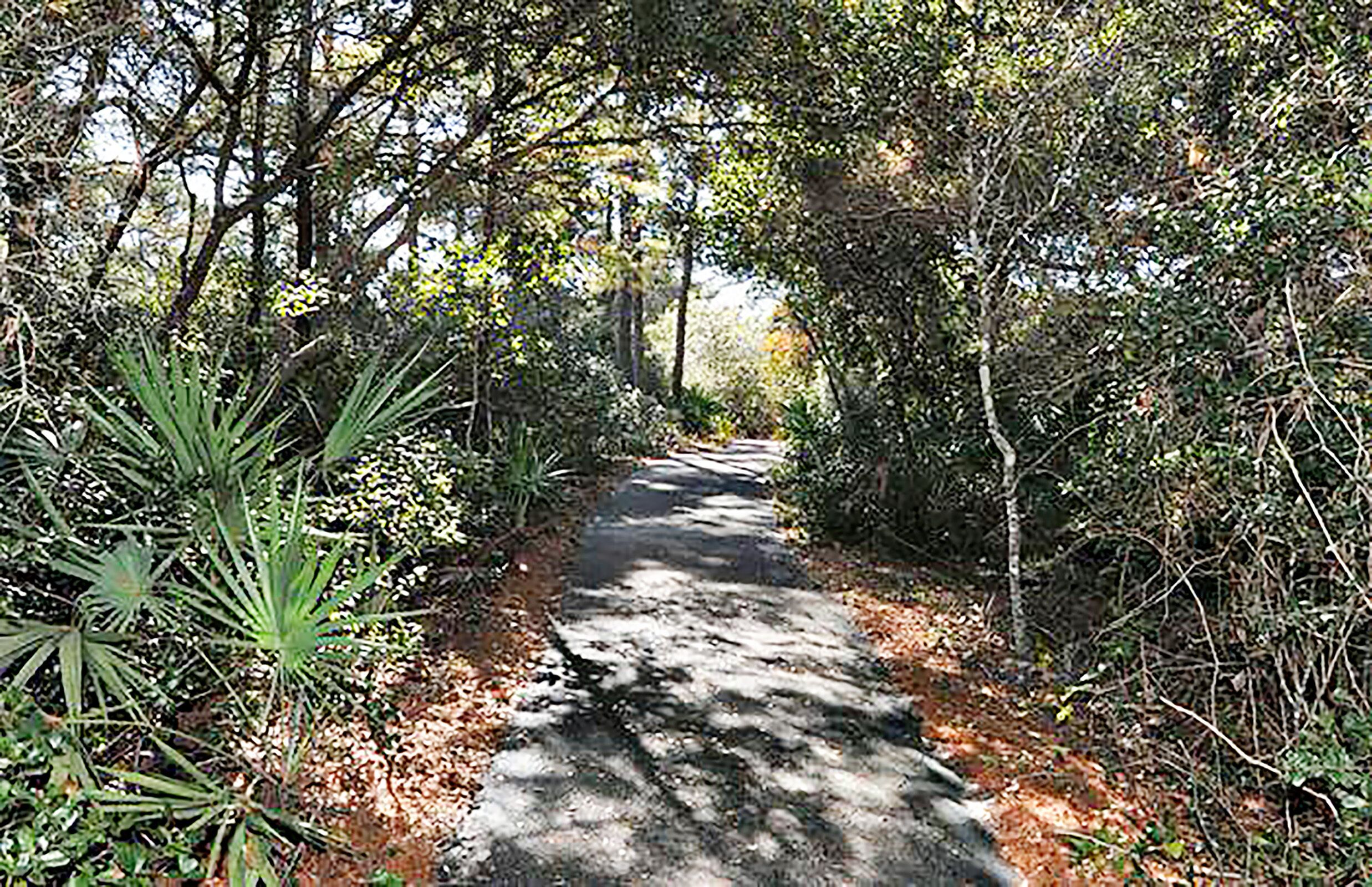 A narrow, shaded pathway surrounded by dense foliage and trees.