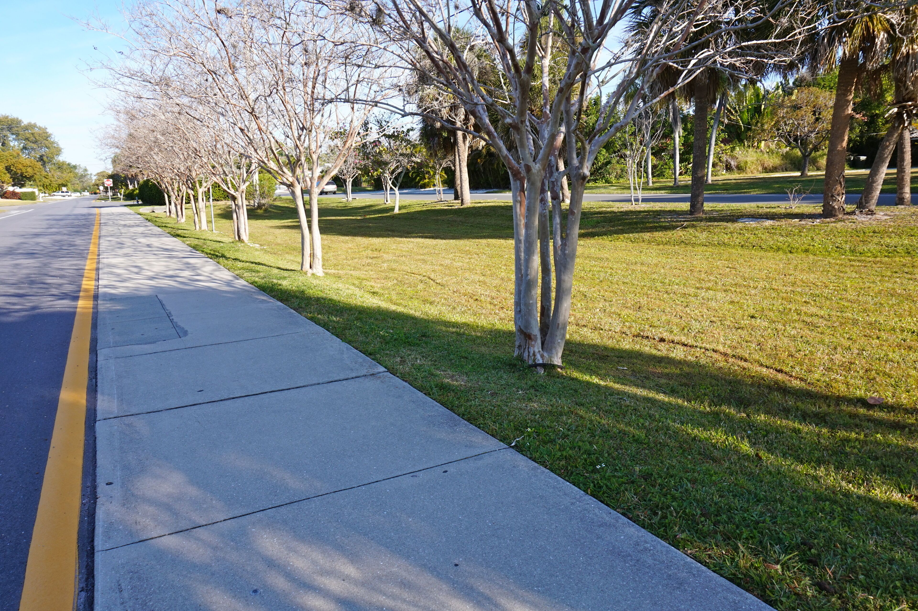 Un trottoir bordant une route, avec des arbres et de l’herbe.