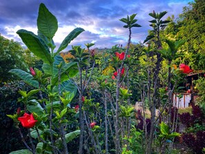 Property grounds - Casa Agrreste Bed & Breakfast (Sopó)