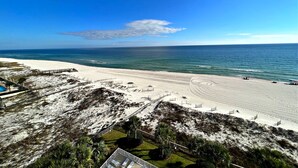 Ein Strand mit freiem Blick auf den Ozean, ein eingezäunter Bereich mit Palmen und ein Schwimmbecken.