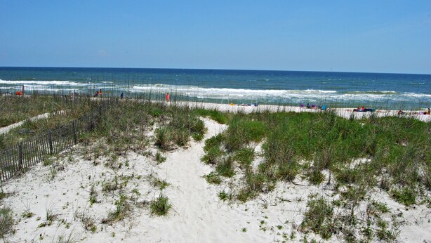 Een strand met een zandpad en schaarse begroeiing.