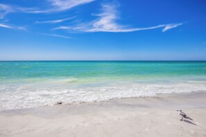 Une plage avec une eau d’un bleu limpide et un goéland sur le sable.