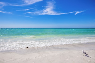 Perfect Local In Village,1 1/2 Block From #1 Beach In USA, Pool, Wifi, Sun & Fun