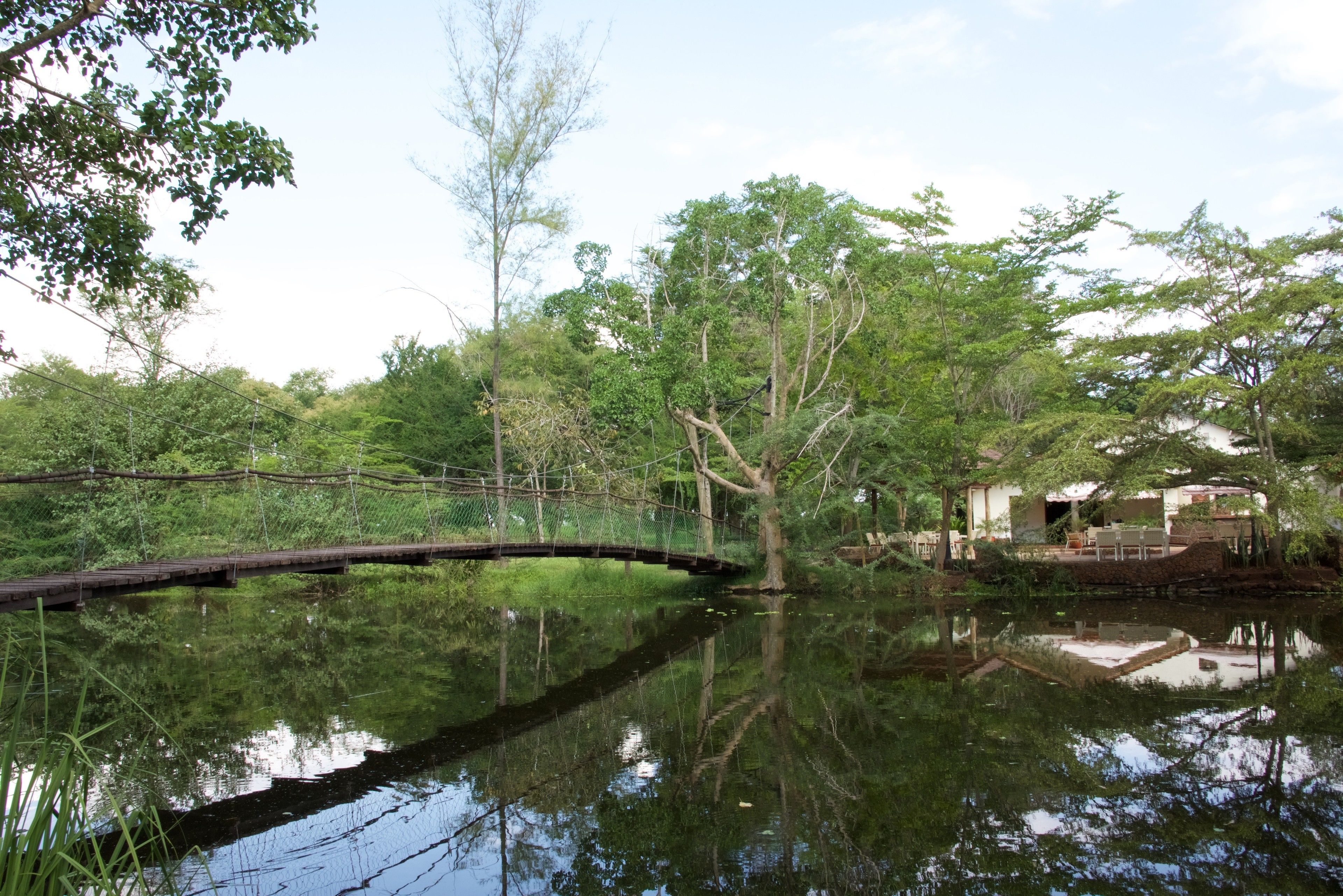 Un paysage paisible au bord de la rivière, avec un pont en bois et une maison entourée d’une végétation luxuriante.