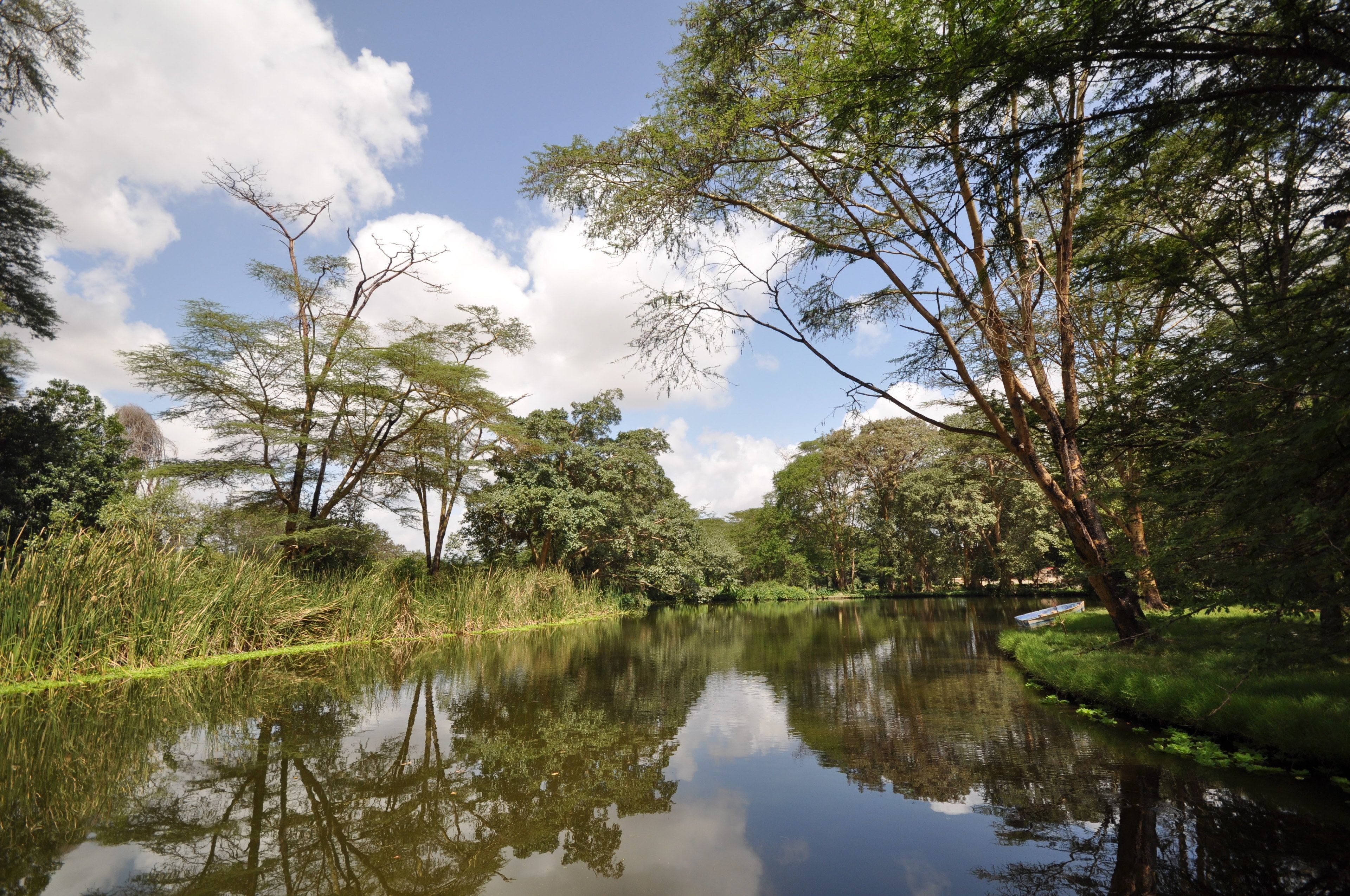 A calm river with trees reflecting in the water, surrounded by greenery.