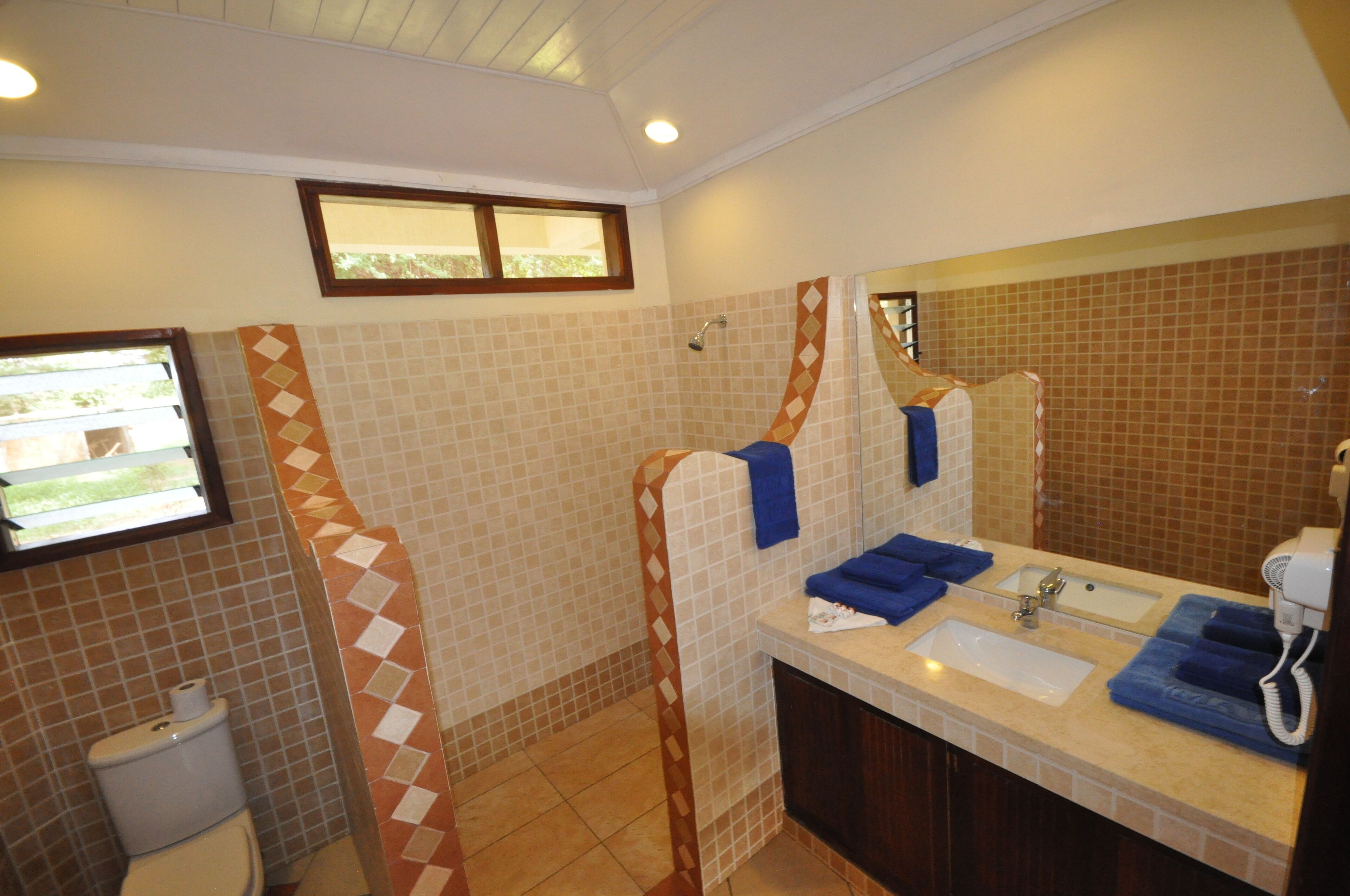 A bathroom with a toilet, sink, and shower area.