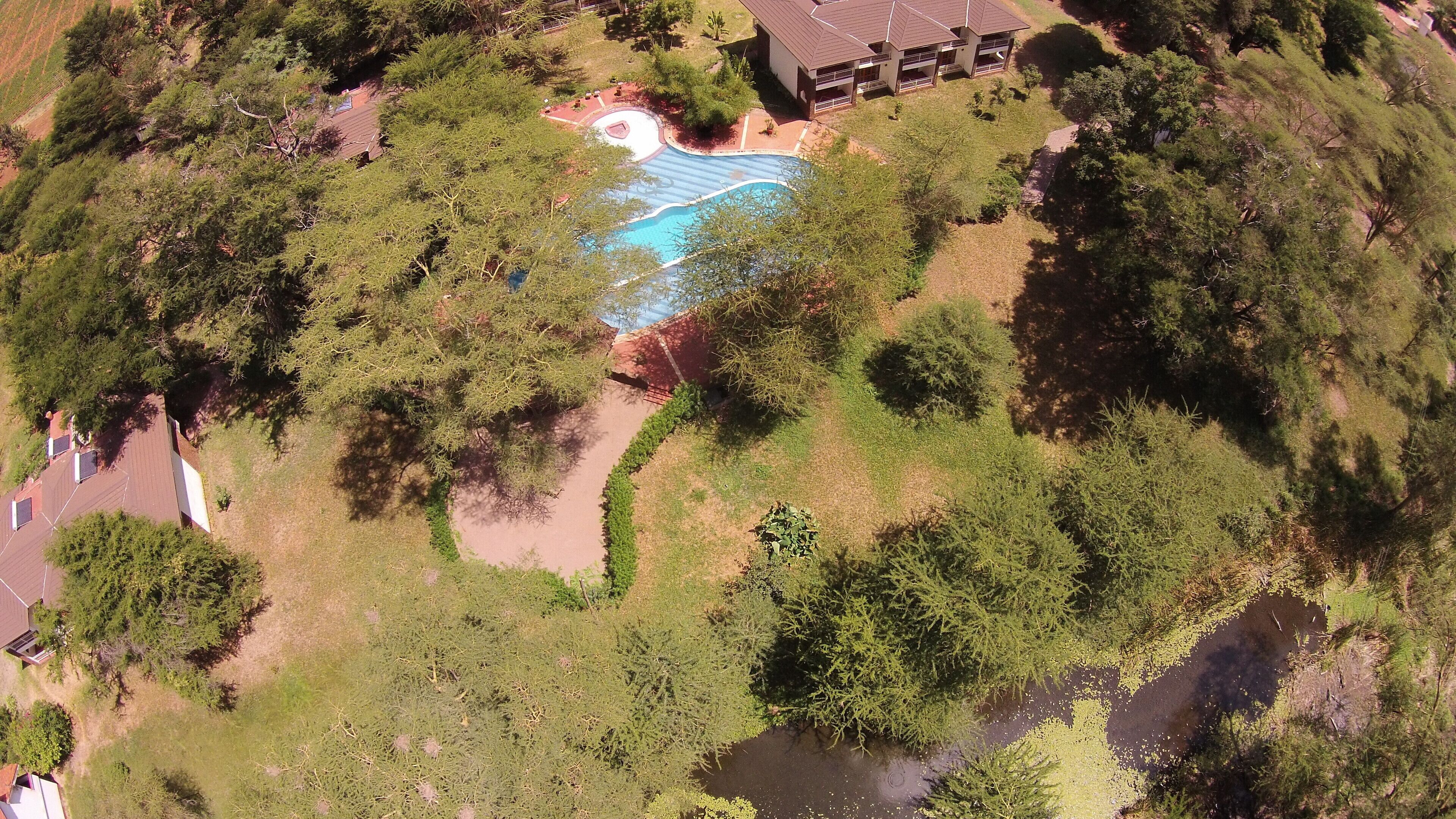 Vista aèria d'una propietat amb piscina, envoltada de vegetació abundant i un petit estany.