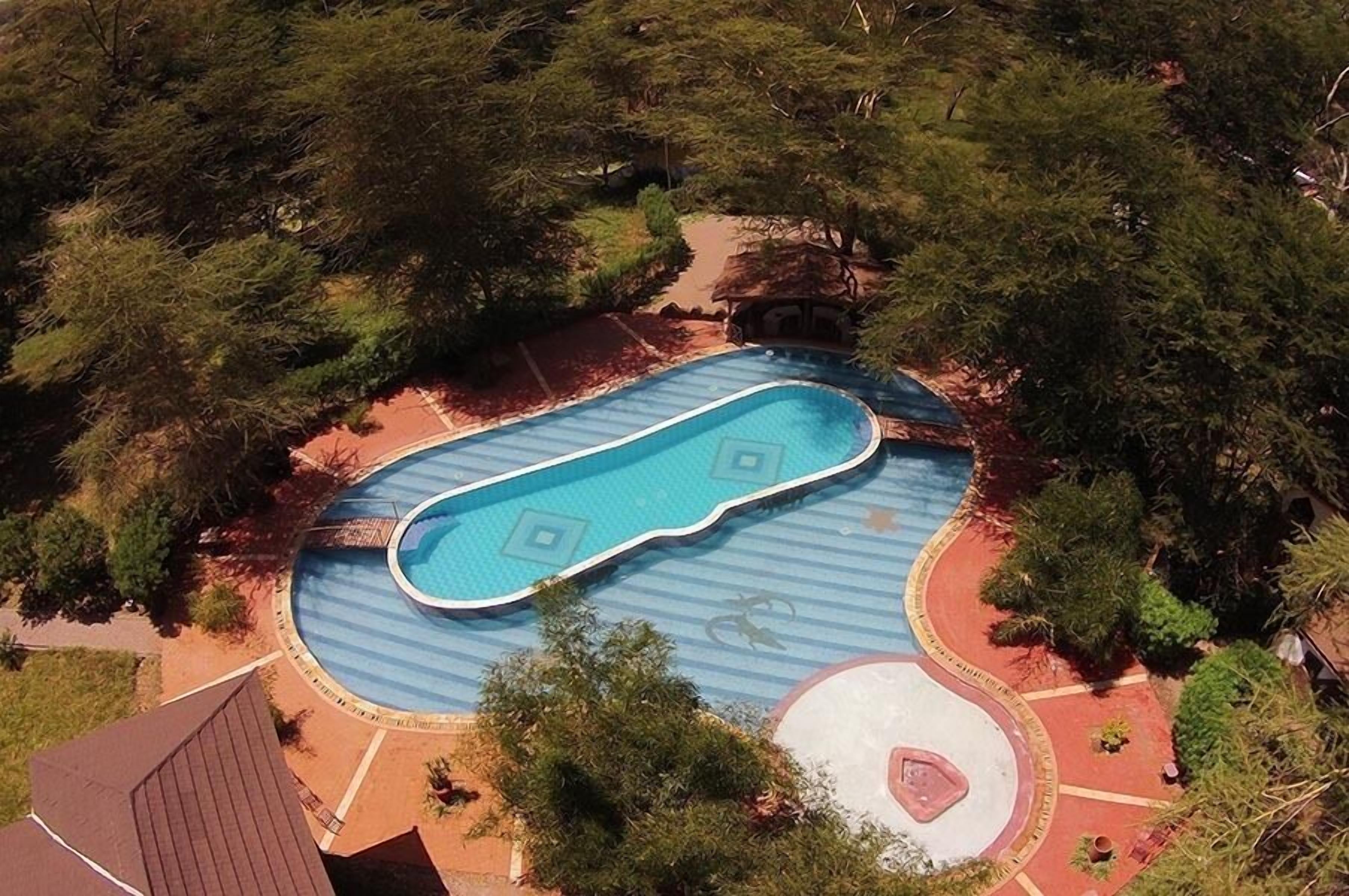 Vista aerea di una piscina circondata da alberi, con un campo da basket nelle vicinanze.