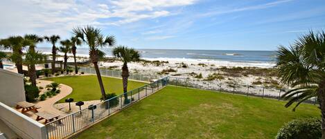 テラス / パティオ