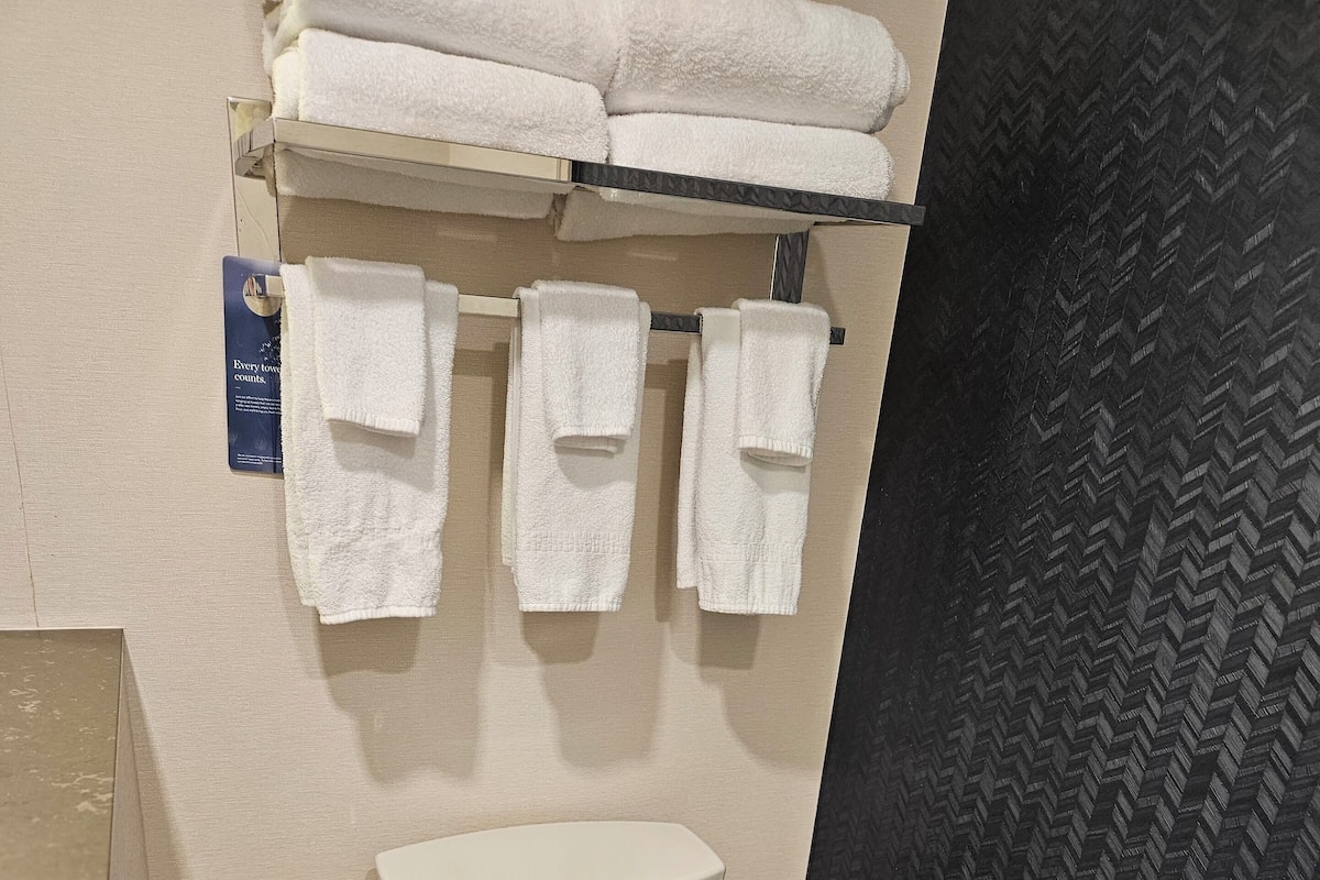 shower, free toiletries, hair dryer, towels