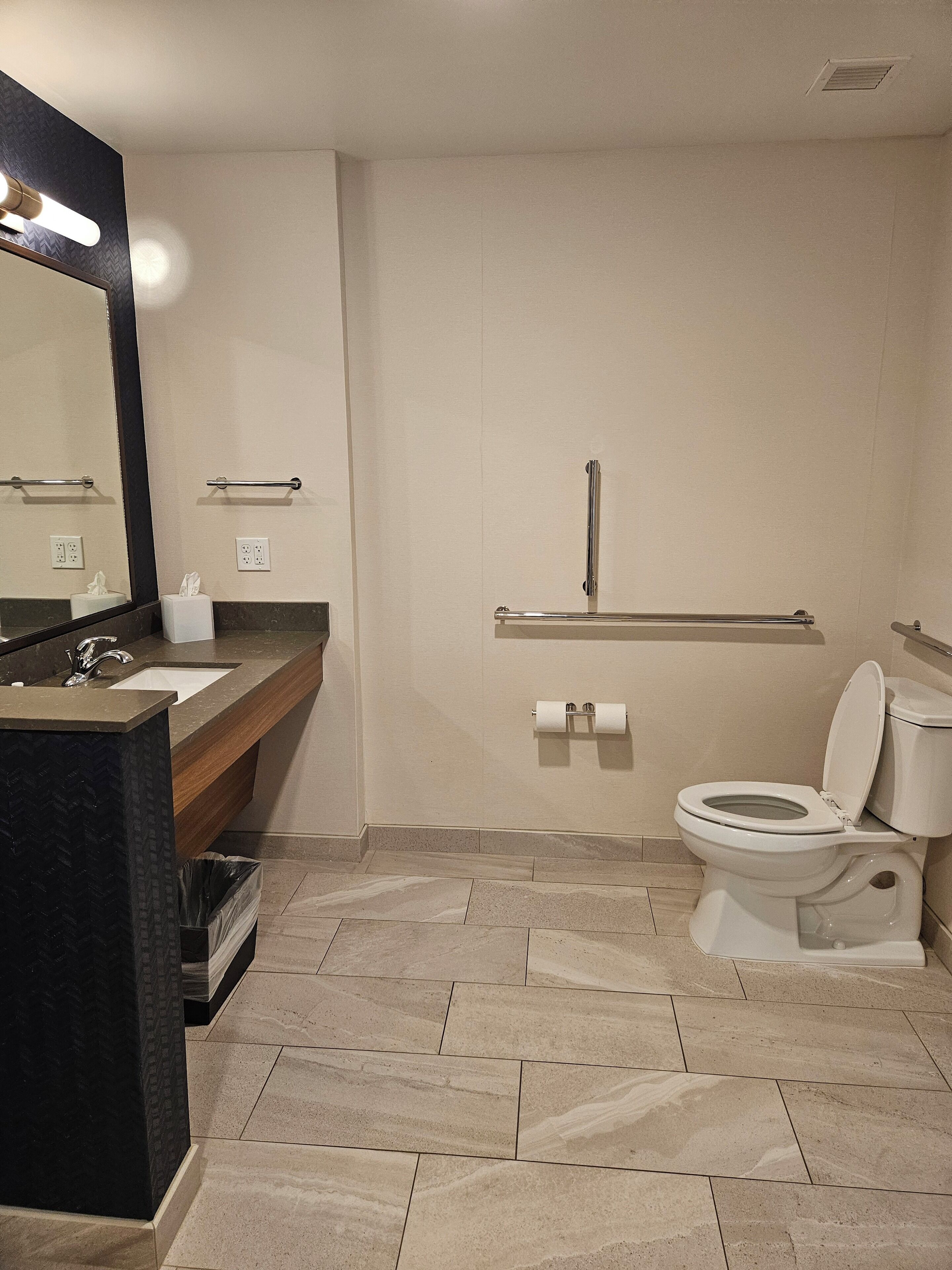 A modern bathroom with a sink, mirror, toilet, and handrails.