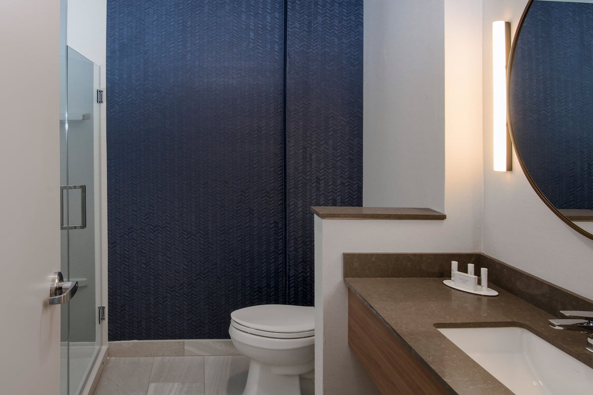 shower, free toiletries, hair dryer, towels