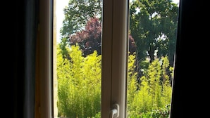 Una ventana con barandilla de metal blanco y vistas a un jardín con diversos árboles y arbustos.