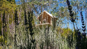 Una estructura rústica de madera rodeada de altas plantas moradas con flores.