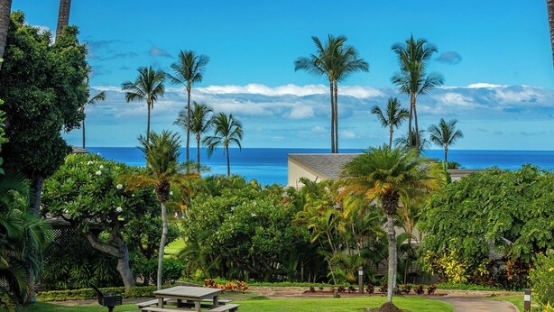 Un complexe hôtelier tropical offrant une vue sur l’océan, avec des palmiers et un espace aménagé pour les pique-niques.