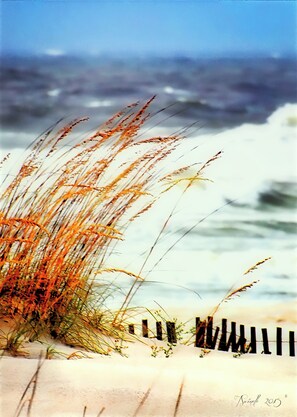 Playa