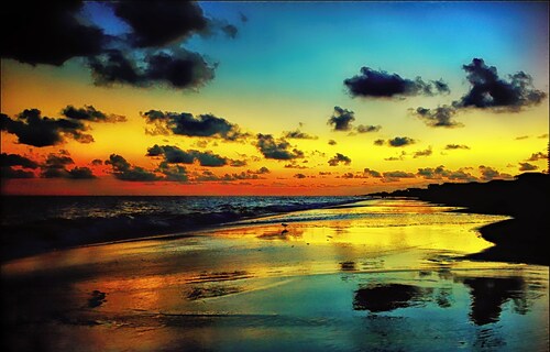 🐬The sea soothes your soul🌊👣 Come get your toes in the sand