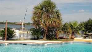 Una piscina con bordo piastrellato, circondata da palme e un gazebo.