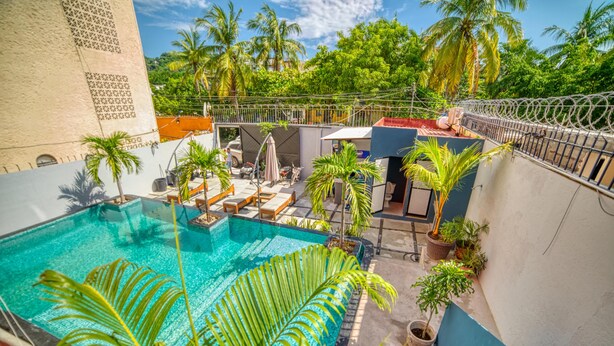 A rooftop pool with lounge chairs, surrounded by potted plants and a view of palm trees.