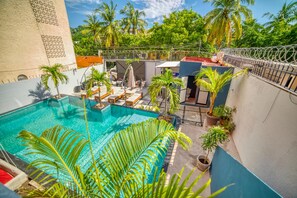 Una piscina en la azotea con sillas de descanso, rodeada de plantas en macetas y vistas a palmeras.