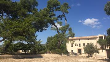 A building with a tiled roof and a courtyard with trees.