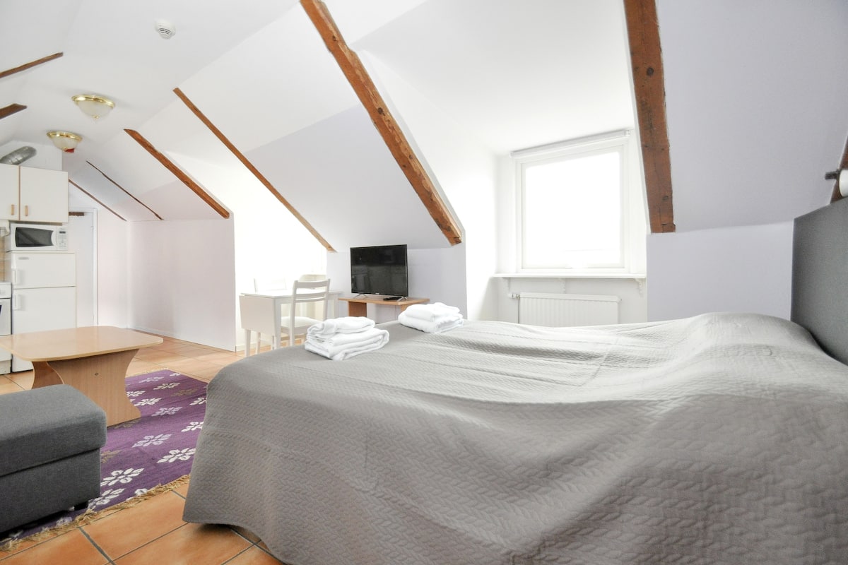 Un dormitorio con cama, escritorio, televisor y ventana.