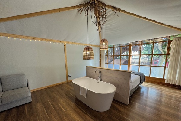 Room, 1 King Bed (Shared bathroom) | WiFi (free), bed sheets