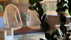 Une pièce avec des chaises en osier, une table en verre et une plante aux feuilles vertes.