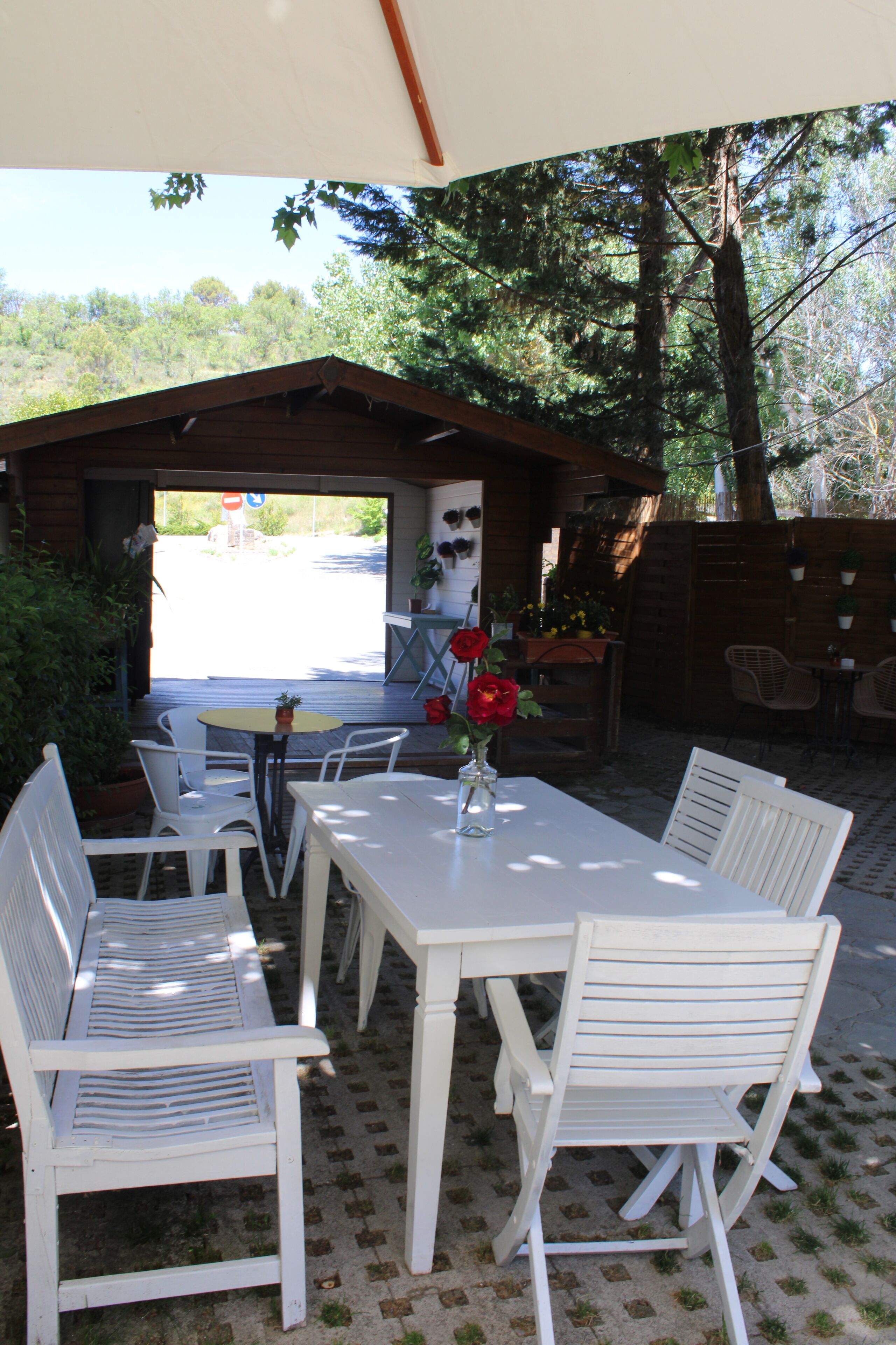 An outdoor patio with a table and chairs, surrounded by plants and a wooden fence.