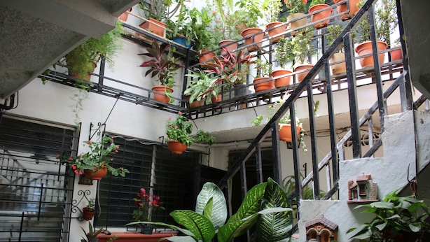 Interior - International Guest House Hotel (San Salvador)