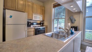 Private kitchen - French St. Chateau-walk to Everything! (Breckenridge)
