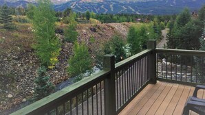 Balcony - The Wellington Mansion - Accommodates up to 20! (Breckenridge)