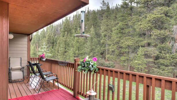 Unclassified image, 1 of 24, button - Swan's Nest - Hot Tub & Hiking! (Breckenridge)