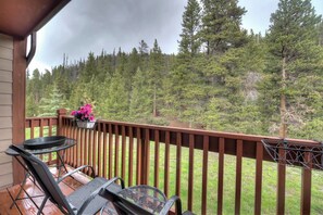 Balcony - Swan's Nest - Hot Tub & Hiking! (Breckenridge)