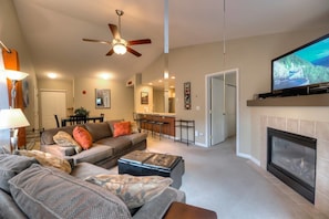 TV, fireplace