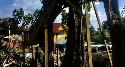 Campamento & Hostel Cafeaventura