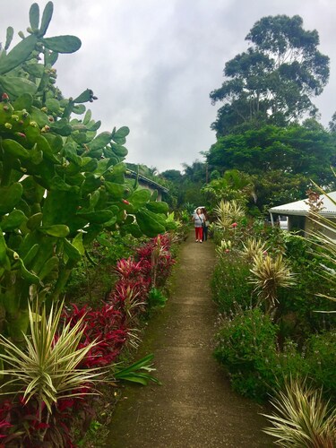 Campamento & Hostel Cafeaventura