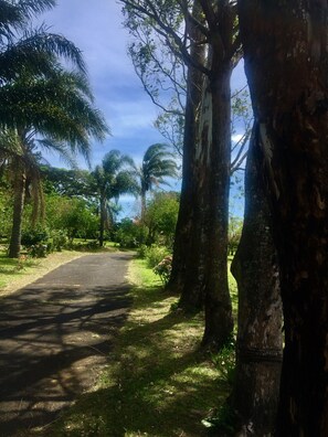 Área da propriedade
