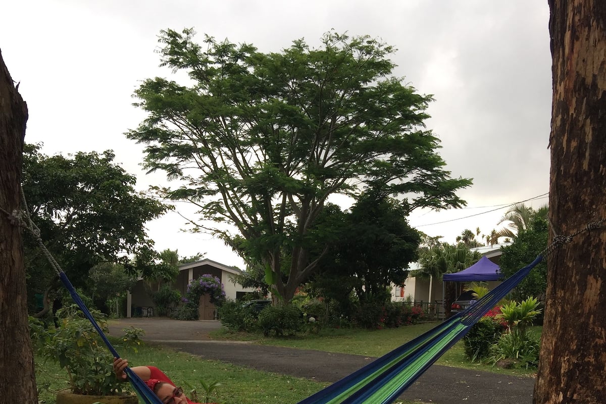 Club Shared Dormitory, Multiple Beds, Accessible | Cribs (surcharge), WiFi (free)