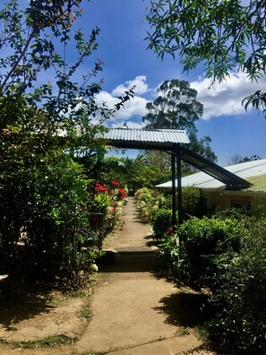 Jardim