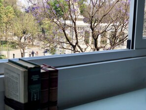 Departamento Confort | Vista desde la habitación