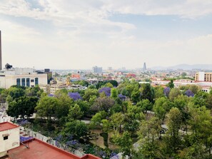 View from room - Apartment Downtown 1106 (Mexico City)