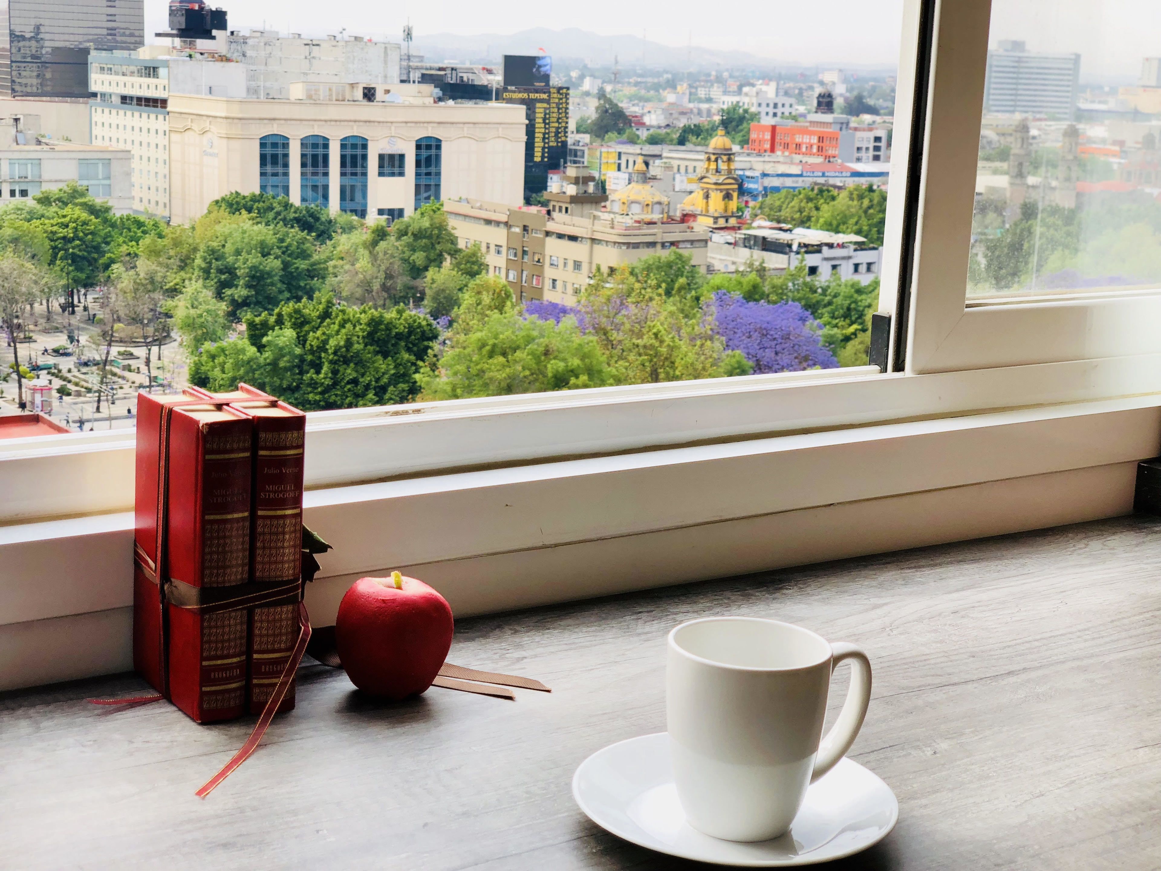 A view from a window overlooking a cityscape with buildings, trees, and a clear sky.