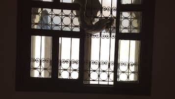 Traditionele Twin kamer, niet-roken (Bertal) | Uitzicht vanuit de kamer