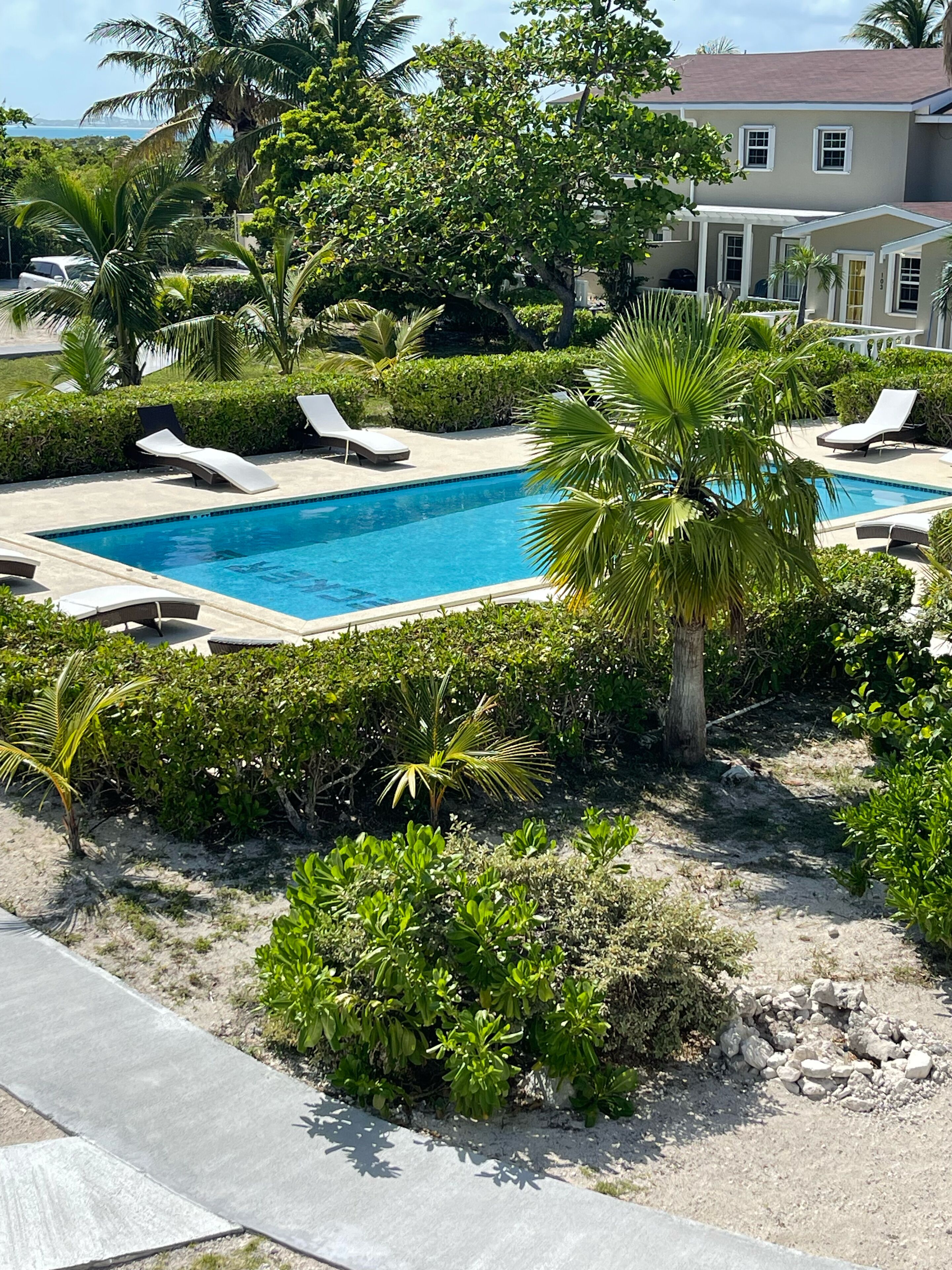 Outdoor pool, pool loungers