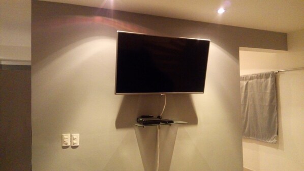 Television
